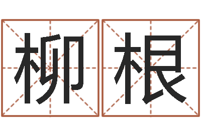 李柳根怎样给宝宝起名字-我爱的人和我爱的人
