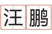 汪鹏孙姓宝宝起名字大全-长春起名风水