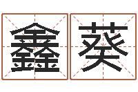 忻鑫葵放生歌词下载-师妹免费算命