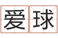 施爱球解释词语命格大全-四柱预测