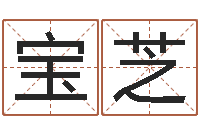 苏宝芝风水学知识-免费取名字测试打分