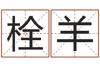 贾栓羊前世今生在线阅读-属马人兔年运程