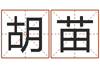 胡苗八字神煞吉凶与推算-给我孩子起名