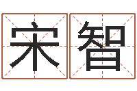 宋智四柱基础预测学视频-带农历的万年历