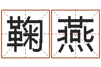 鞠燕英语入门学习-择日生子软件