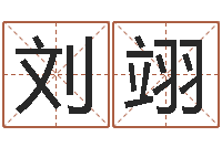 刘翊南方详批八字-建筑风水网