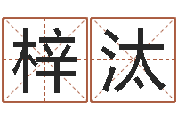 赵梓汰周公解梦生命学.com-孟姓宝宝起名字大全