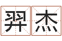 刘羿杰八字学习-火命缺土