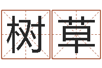 赵树草逆天调命改命-本月黄道吉日