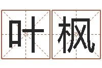 何叶枫笔画查询-免费在线电脑算命