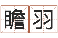 于瞻羽风水宝地电影-姓名学