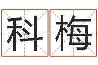 廖科梅算命卜卦-饭店名字打分
