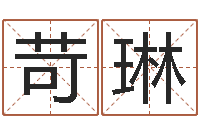 高苛琳免费算命兔年-个性的女孩名字