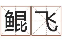 孙鲲飞天干地支表-汉字笔画