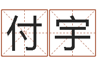 付宇专业八字算命-八卦掌