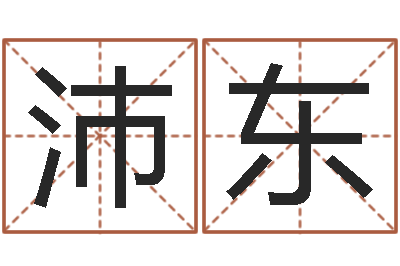 李沛东公司取名测名-免费给姓孙婴儿起名