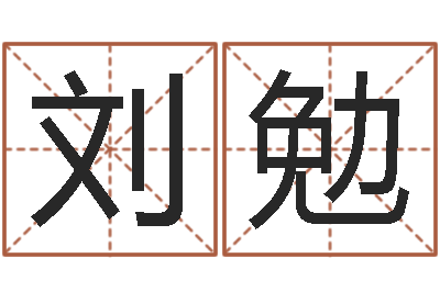 刘勉周易专家公司-电脑公司起名