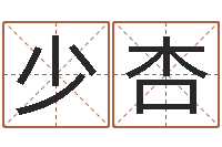 张少杏免费公司取名软件-本命年是否适合结婚