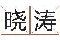 王晓涛起名网免费取名测名-生肖虎还受生钱运程