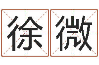 徐微属兔的还阴债年运程-周易免费起名测名
