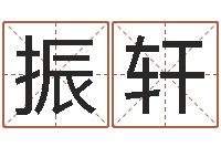 李洪振轩怎样给公司起名字-李居明姓名学