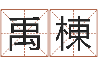 张禹棟王氏保赤丸说明书-名字的打分