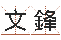 李文鋒李姓男孩名字命格大全-周易八卦预测