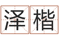 张泽楷年搬家吉日-用五性公司取名