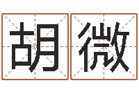 胡微钟姓名人-周易在线免费测名