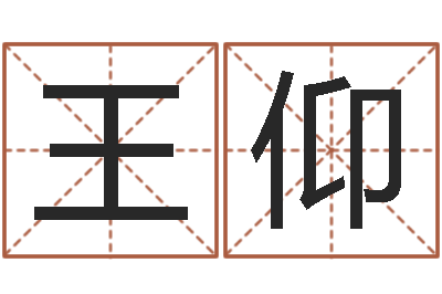 王仰建材测名公司取名-医学算命书籍