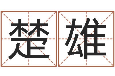 孙楚雄周易排盘软件-童子命年猴的命运