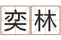 叶奕林受生钱西游五行竞猜-免费排盘