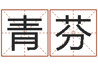 章青芬还受生钱年婴儿姓名-童子命本命年运程