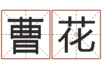 曹花内蒙周易择日-免费起名网址