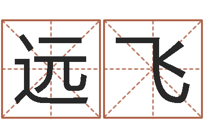 张远飞给孩子起个名字-王子轩名字测试