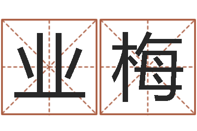 刘业梅治命调-助念往生仪轨