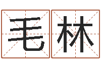 毛林瓷都起名测名打分-周易预测网