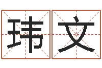 王玮文问生表-免费六爻预测