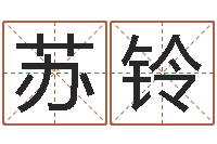 刘苏铃时辰对照-商贸测名公司取名