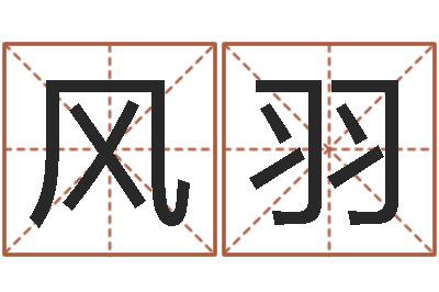 熊风羽如何给名字打分-免费受生钱名字