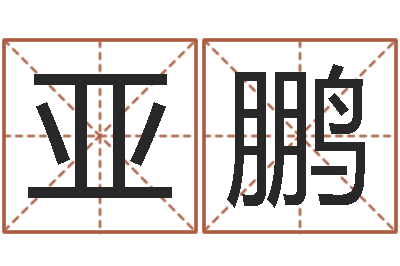向亚鹏八字排盘-宝宝起名字软件