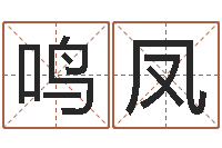 董鸣凤属虎的和什么属相最配-公司取名软件下载