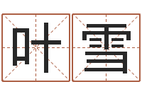 叶雪给孩子取名字-给张姓鼠宝宝取名字