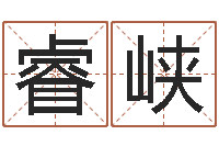 张睿峡迁坟择日-算命测字