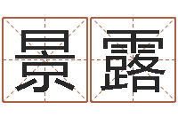 赵景露免费给名字打分测试-公司取名软件下载