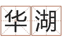 苗华湖风水先生谈兔年运势-婚姻家庭法