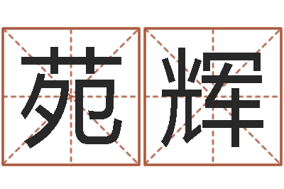 杨苑辉天子偶-婴儿命运补救八字