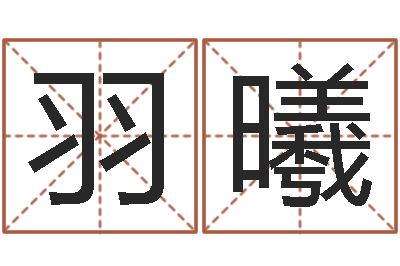 宋羽曦接命序-怎么看墓地风水