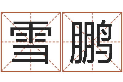 李雪鹏续命身-诸多不顺