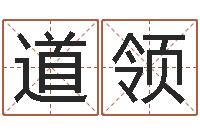 蔡道领解命殿-小孩起名打分